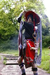 Scara preview 2