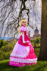 Peach and the Castel preview 3