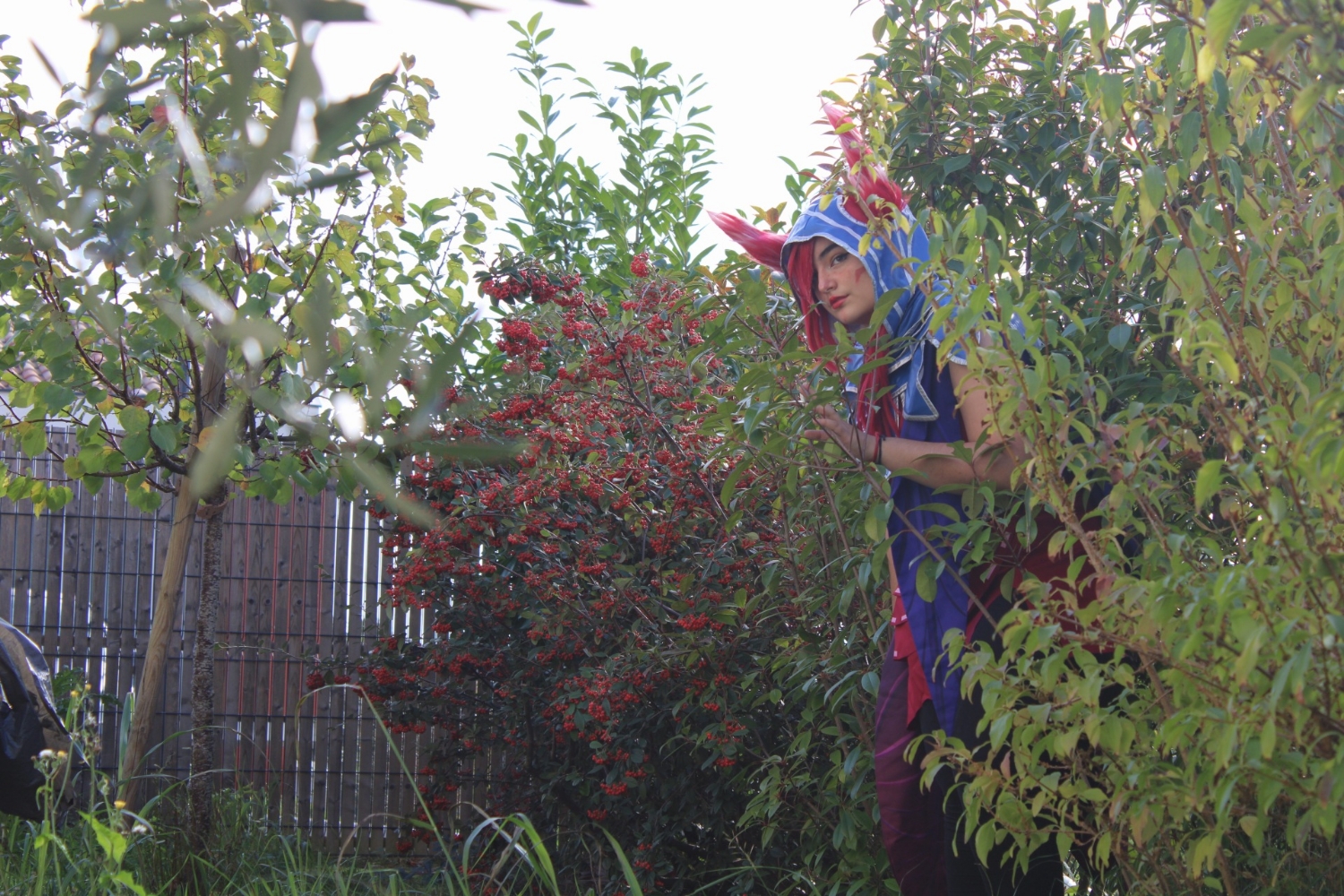 Xayah — photo 7