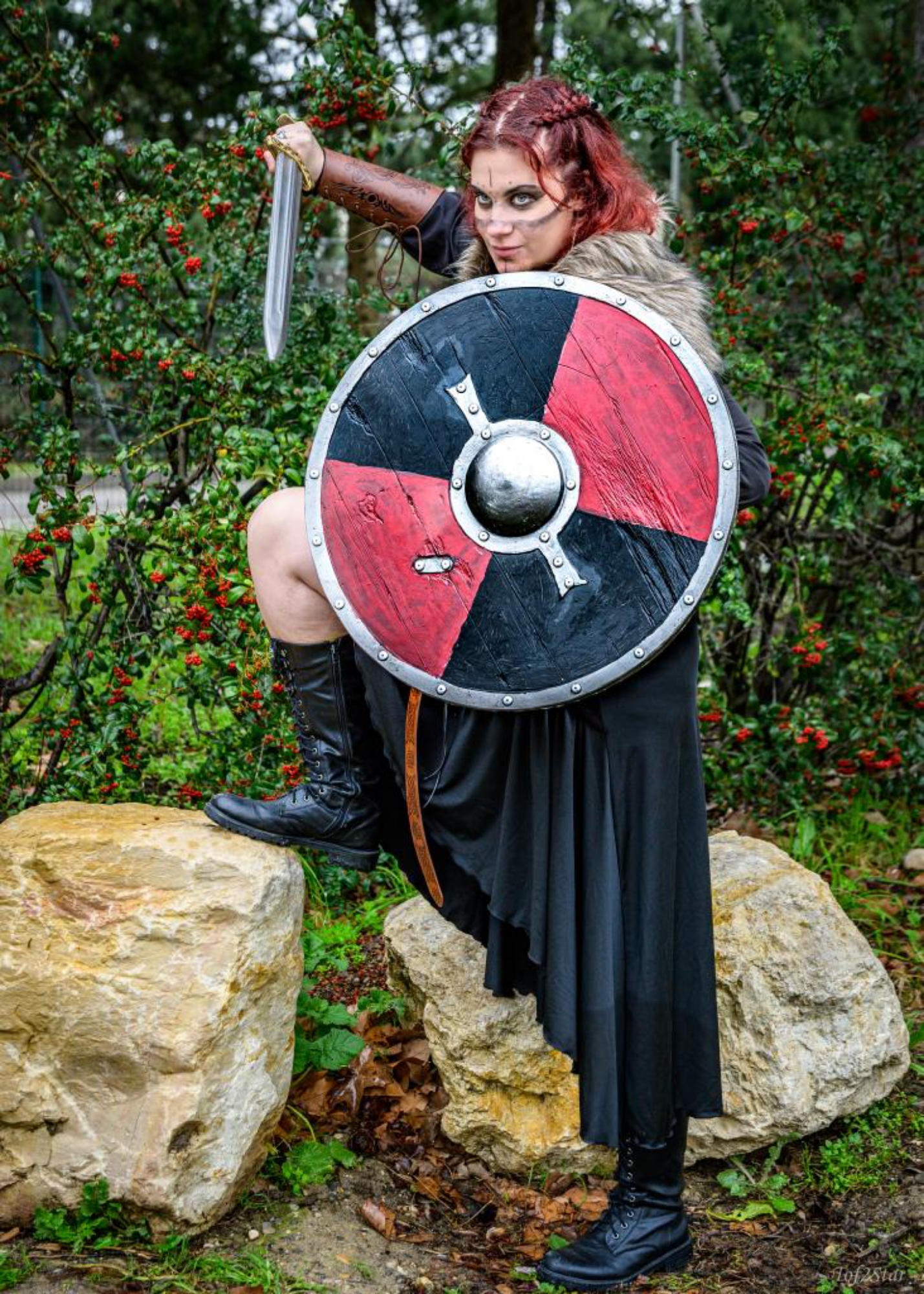 Viking — photo 9