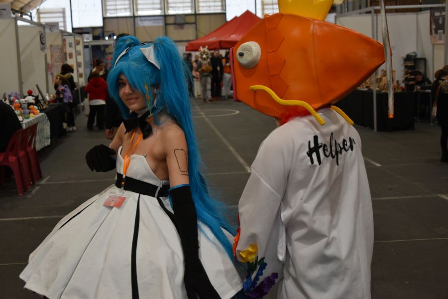 Phoenixas - Japan Chateauroux 1
