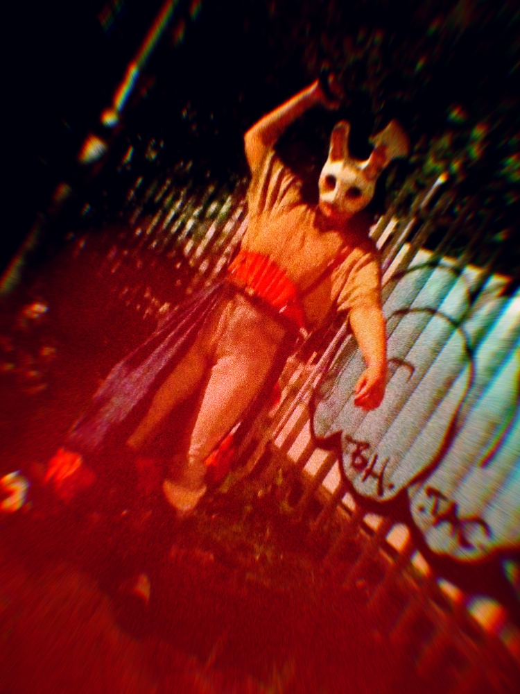 Dbd — photo 6