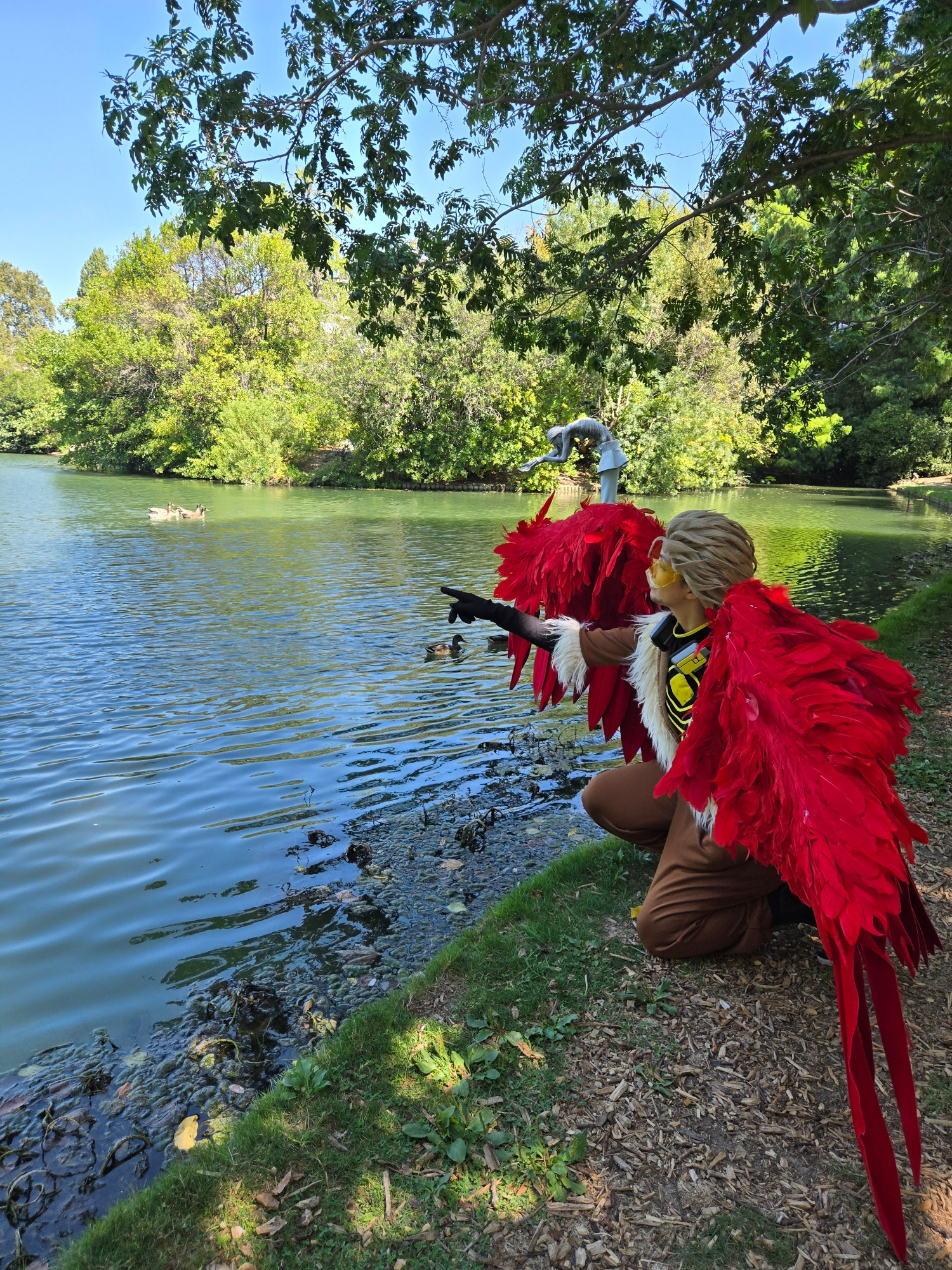 Hawks, photo 298