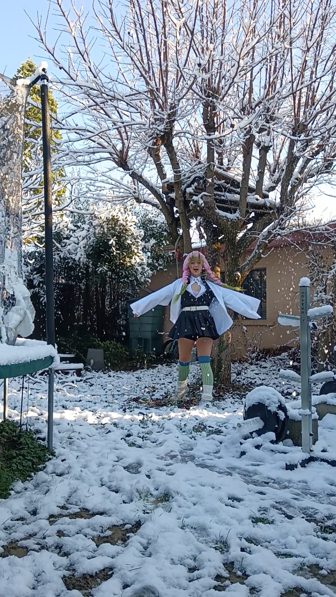 Mitsuri Kanroji - Photo 48