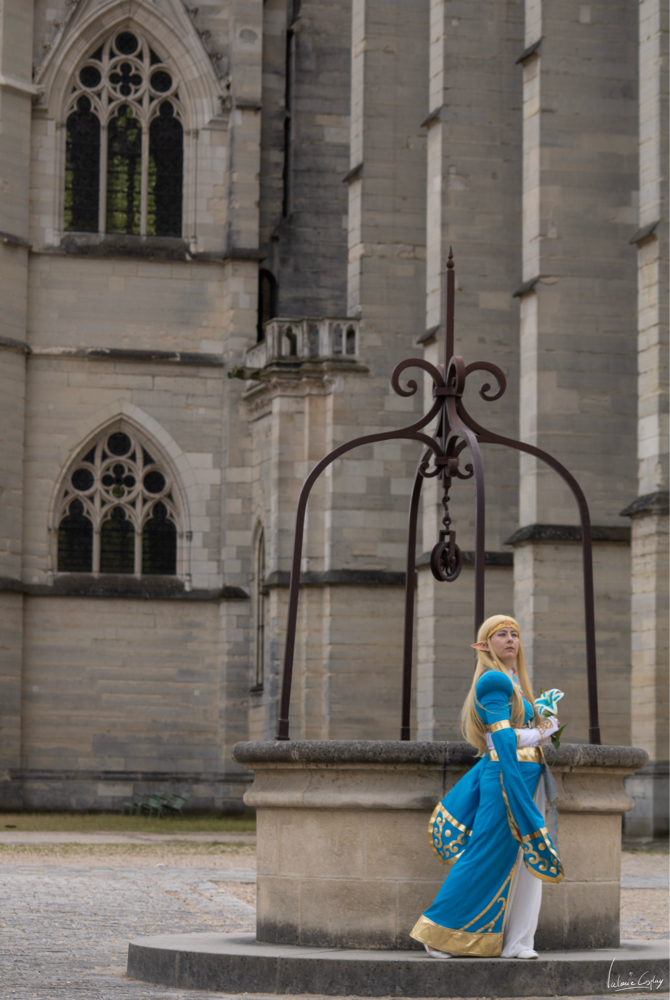 Zelda — photo 13