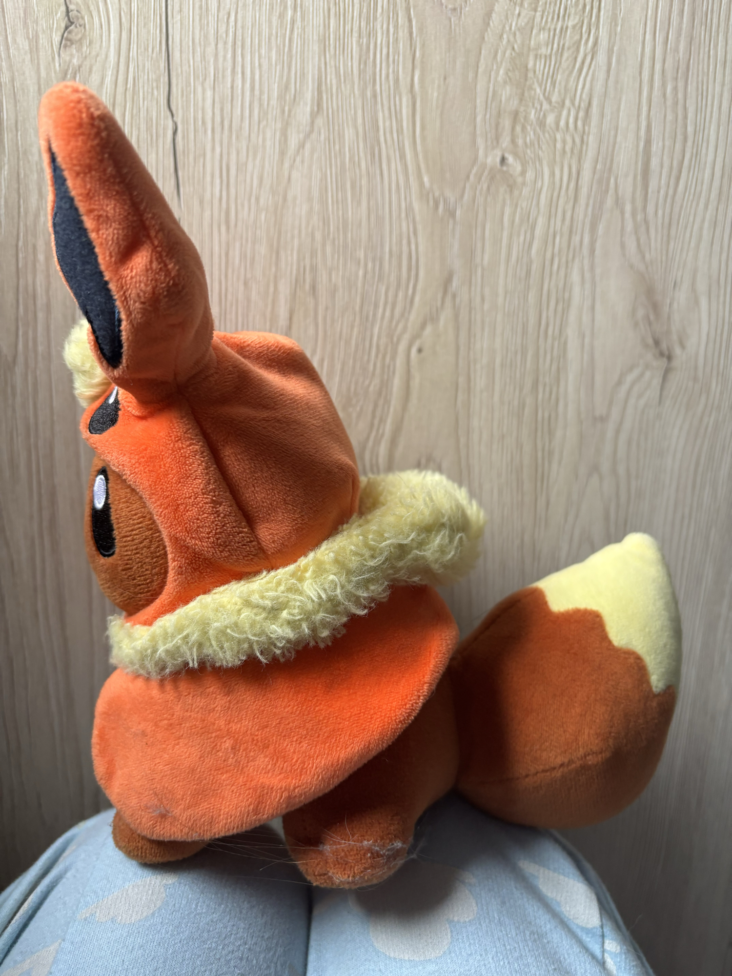 Evoli en Pyroli  - Photo 6