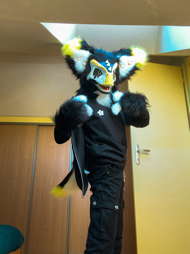 Photos Félix - Photo 8