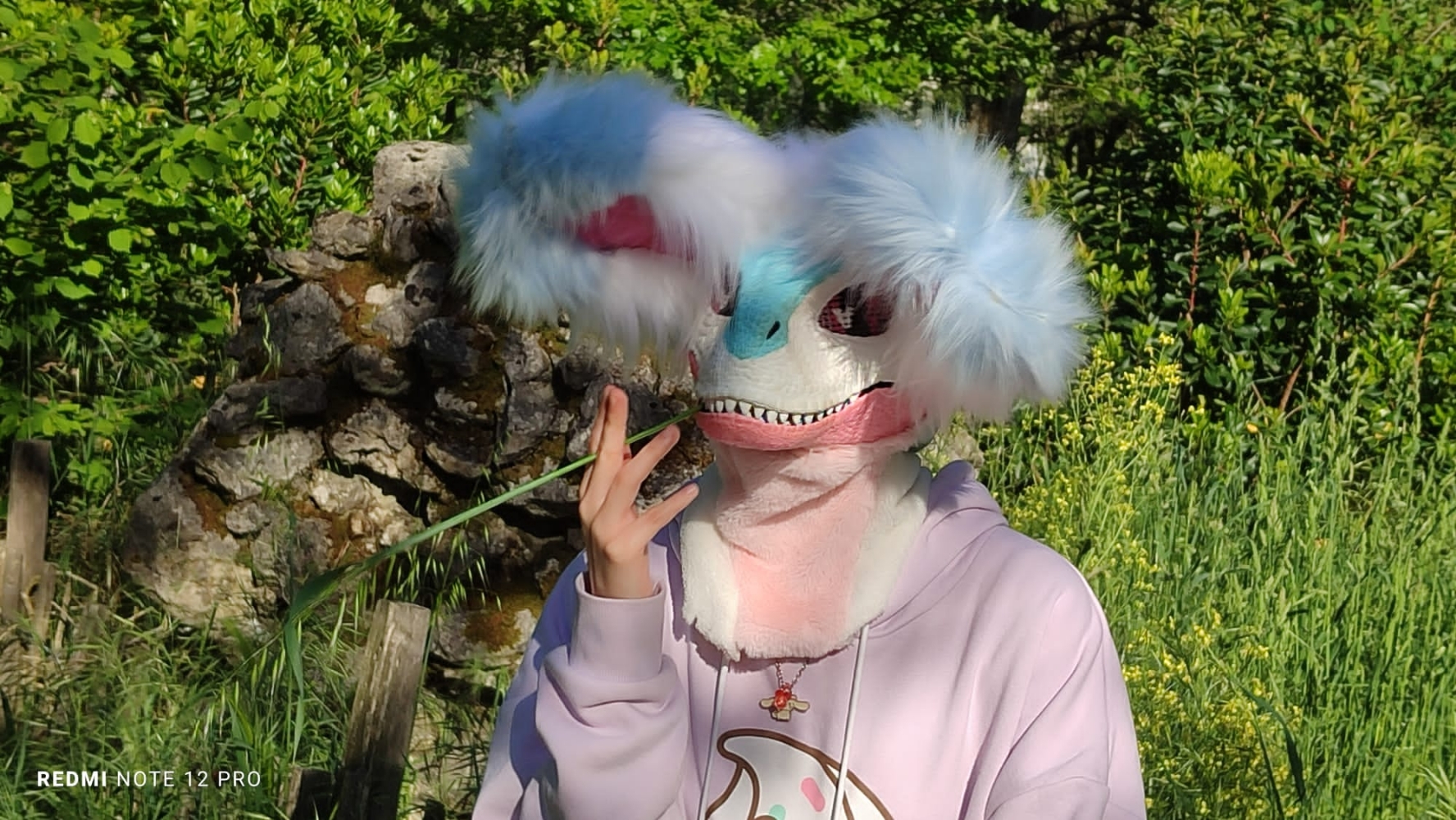 Debut du printemps  - Photo 12