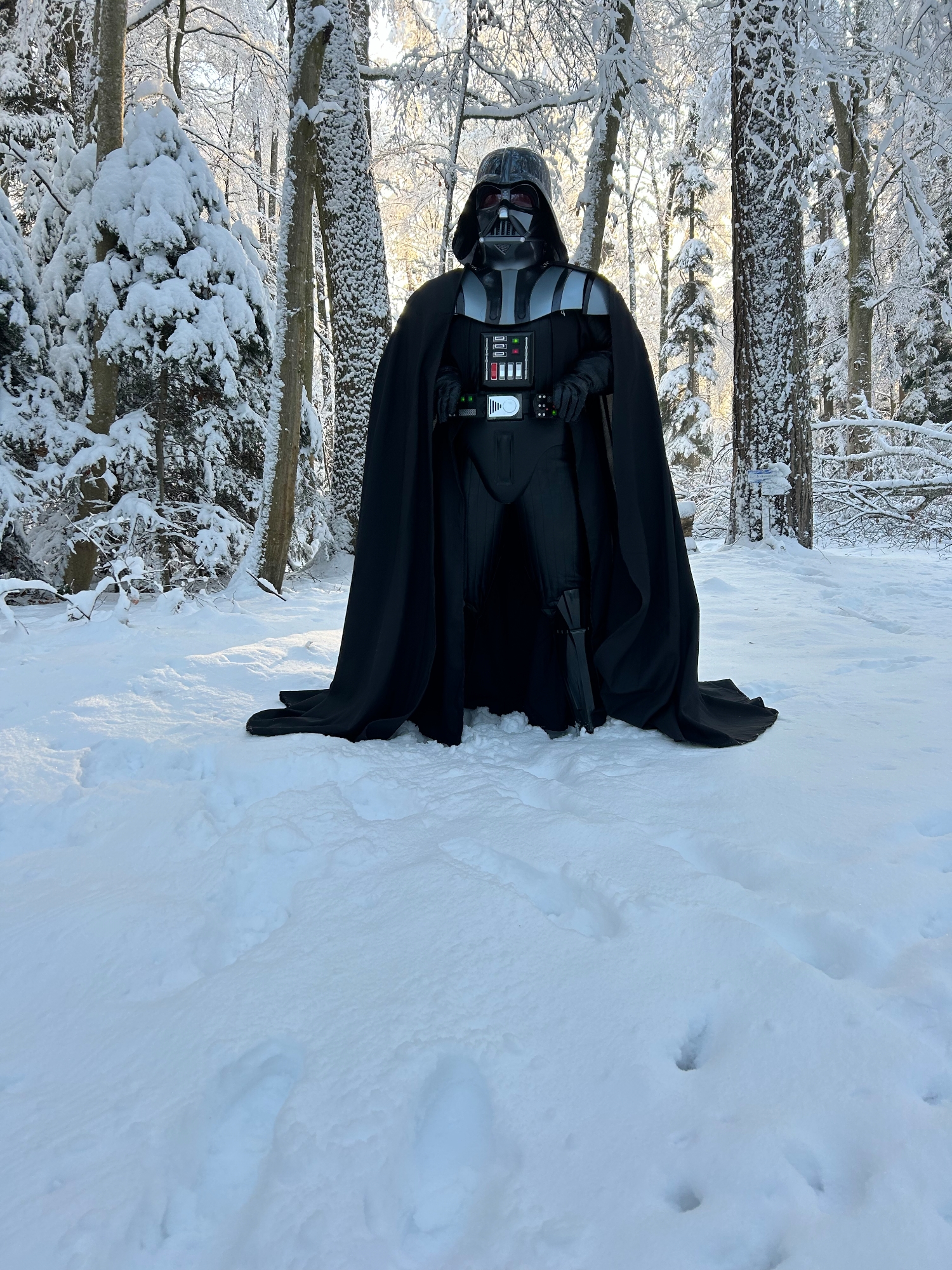 Snow Vader — photo 37