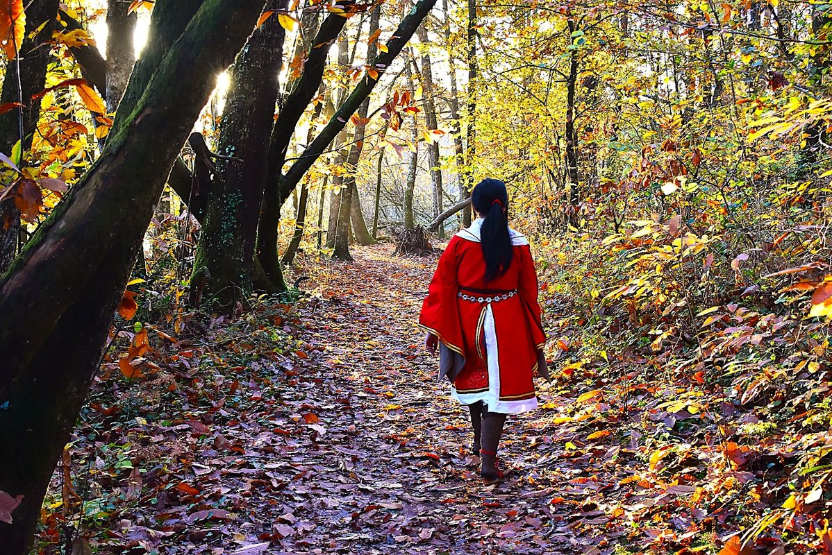 Light – San Lang Forest 2023