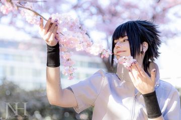 Cherry Blossoms preview 2