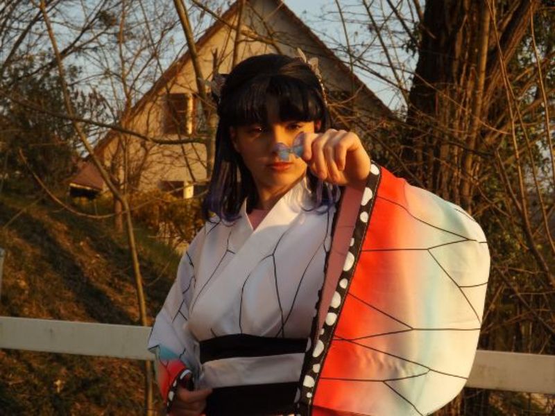 Anel_.cos - Shinobu kocho 