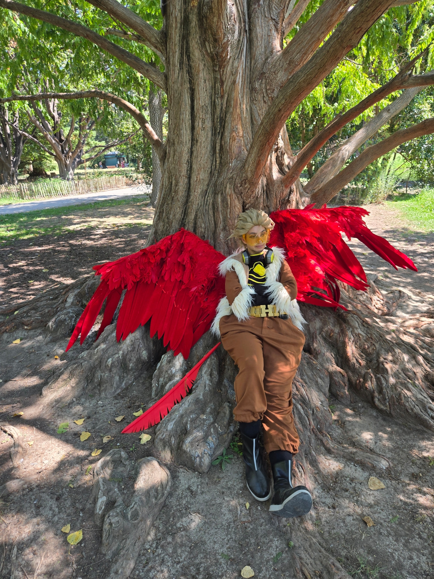 Hawks, photo 96