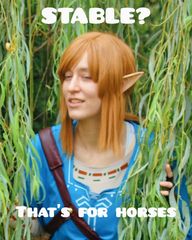 Link (Botw) preview 2