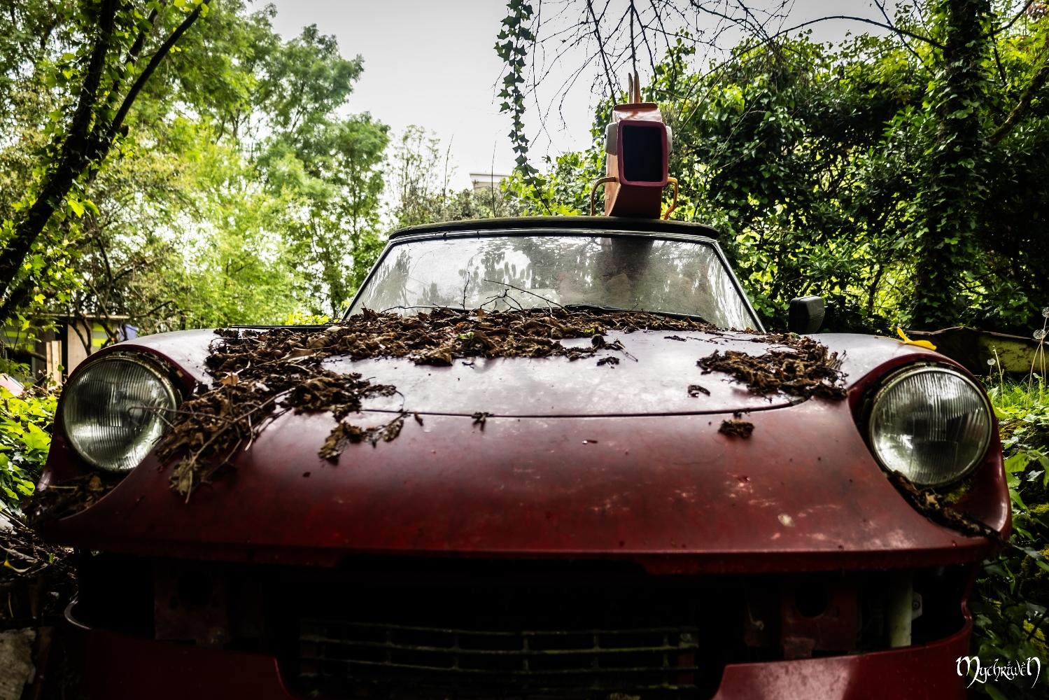 En voiture magicarpe - Photo 4