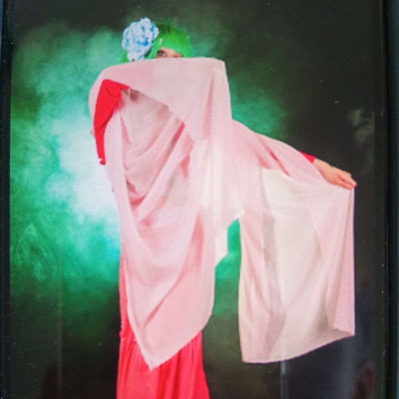 Black_dash – Maomao (carnet de .)