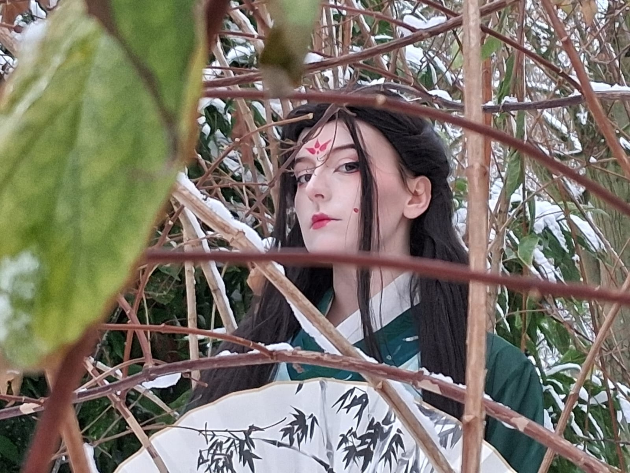 Sous la neige  - Photo 1