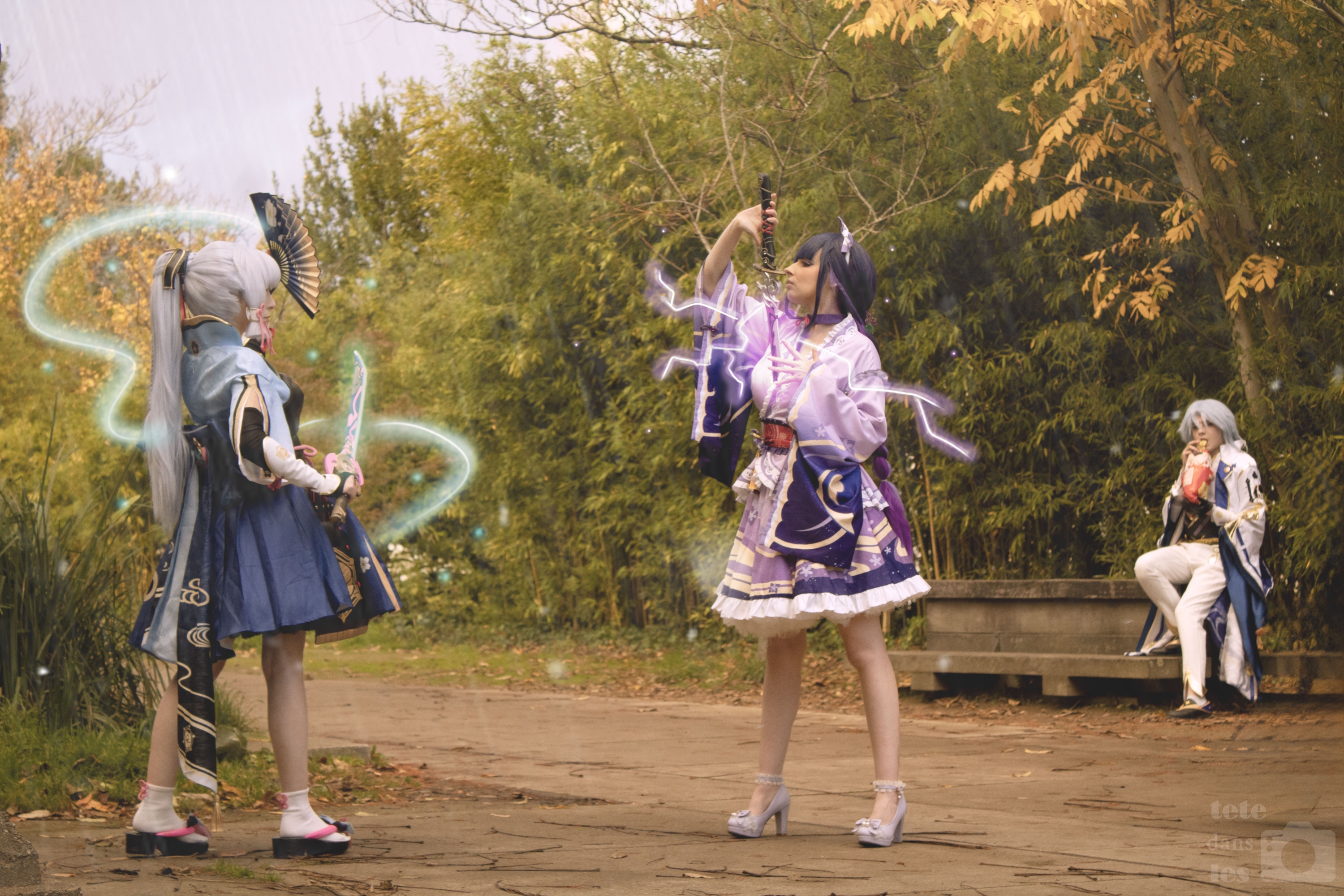 Raiden Shogun - Photo 3