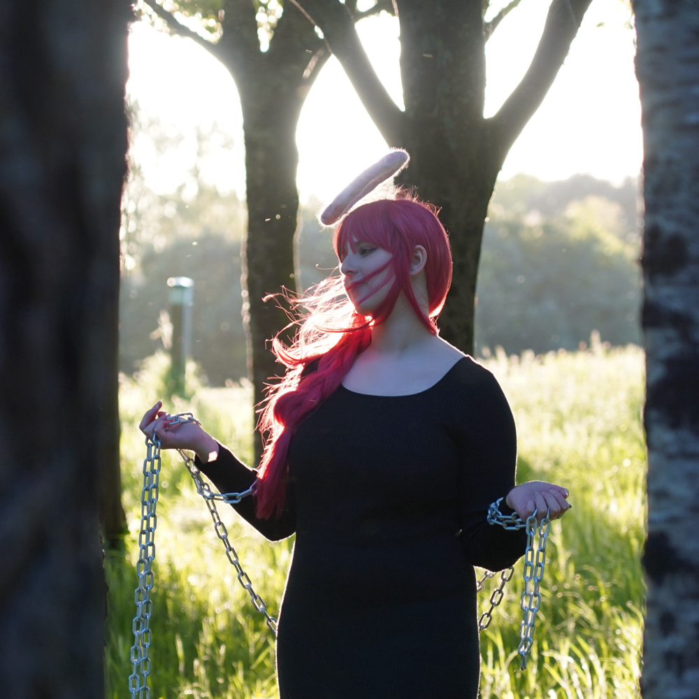 Makima japanantes - Photo 4