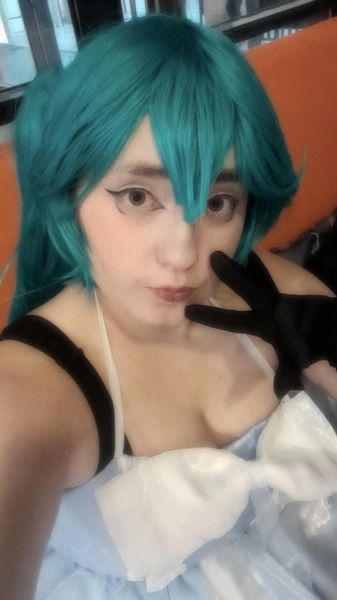 Masontheducklover - Princesse miku