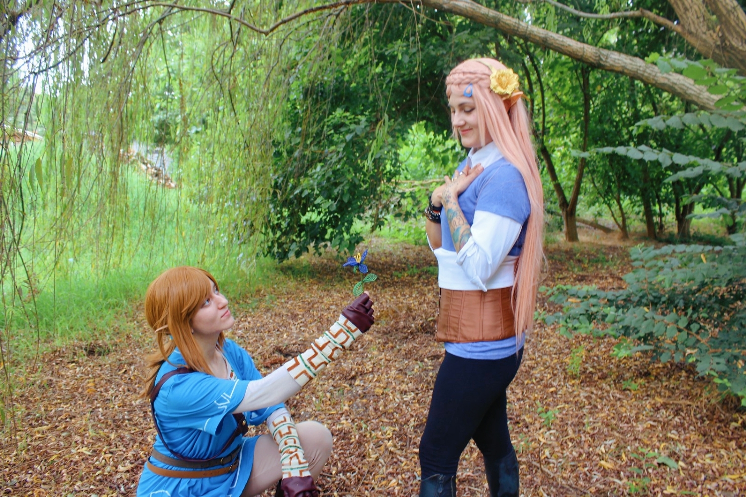 Link (Botw) - Photo 5