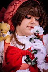 Sakura - shooting 2 preview 3