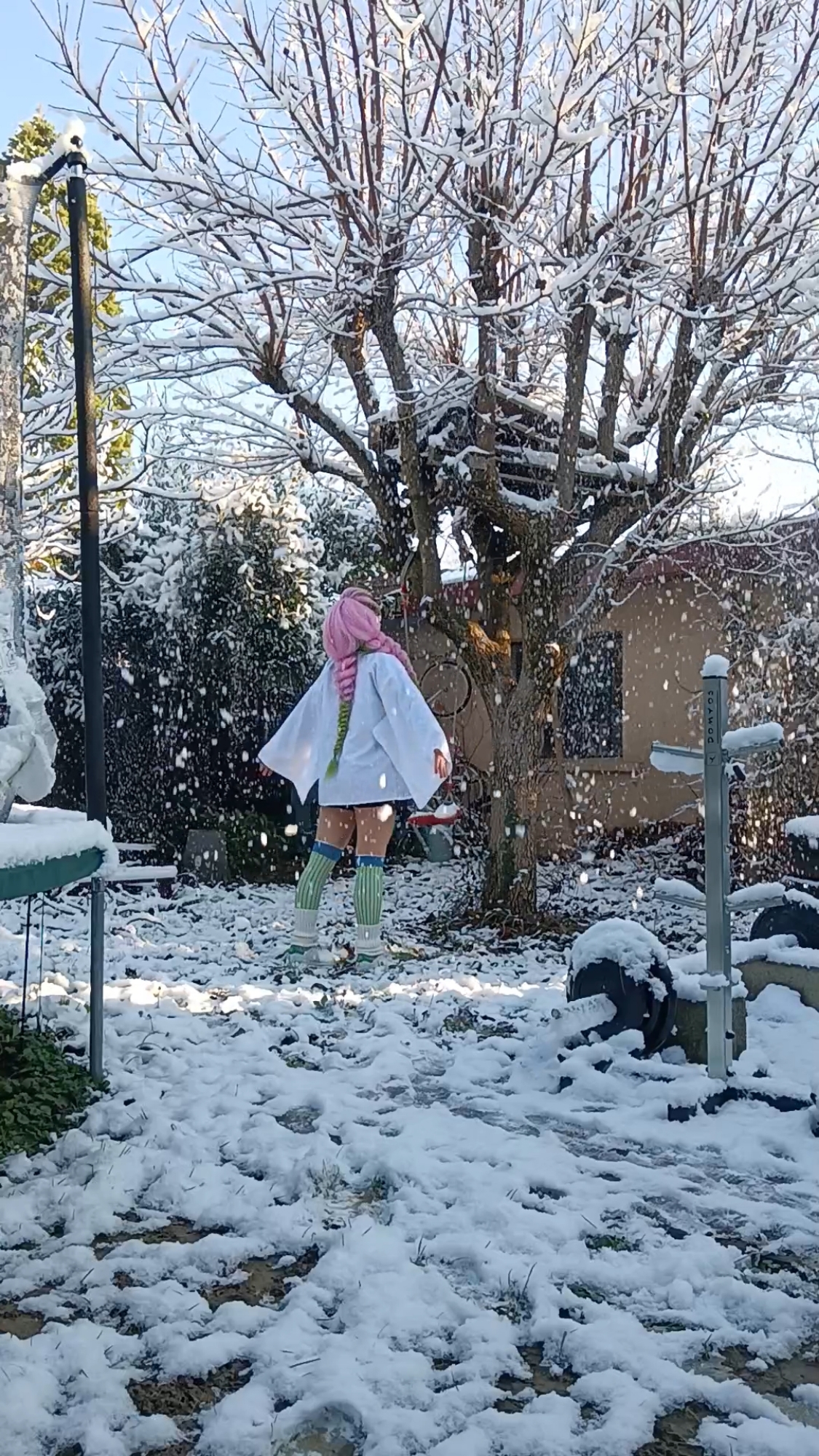 Mitsuri Kanroji — photo 43