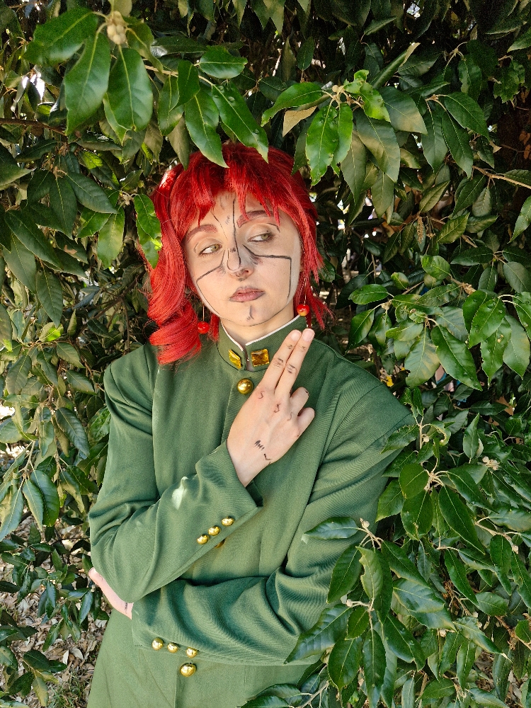 Noriaki Kakyoin - Photo 9