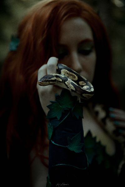 Leuk_imaginarium_ - Poison Ivy