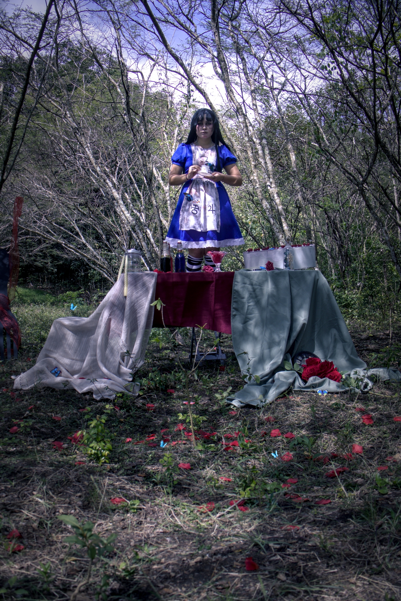 Alice Lidle — photo 15