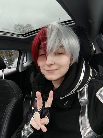 Shoto todoroki
