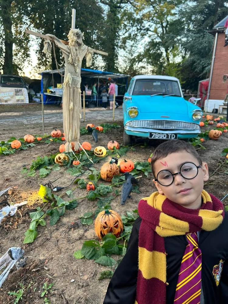 Harry potter — photo 16