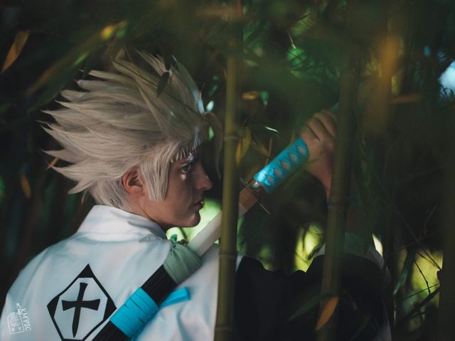 Toshiro Hitsugaya