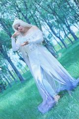 Elsa preview 3