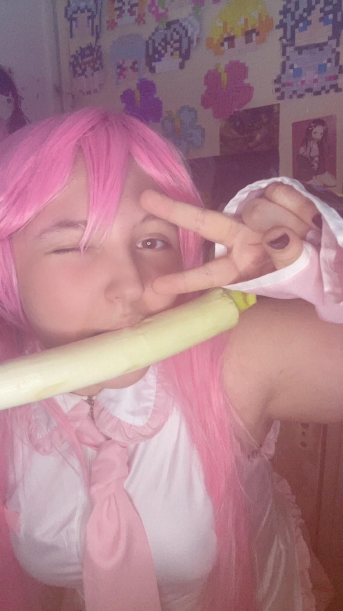 Sakura miku — photo 11