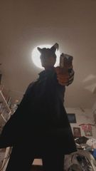 Blitzø preview 2