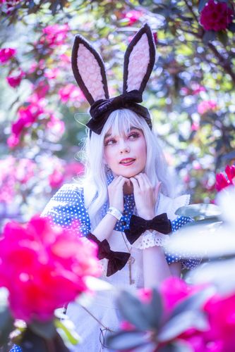 Cosplays from Fire Emblem Heroes