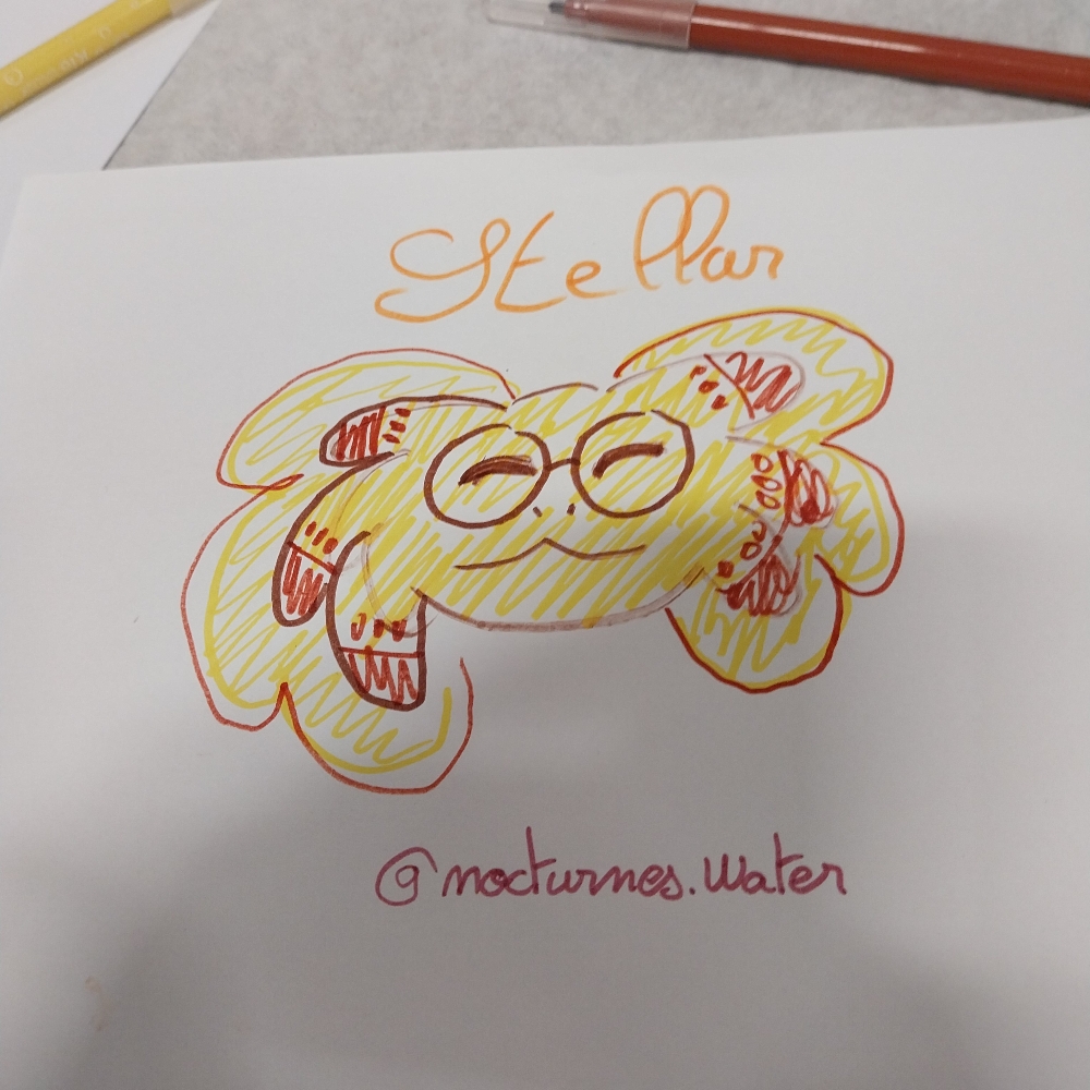 Art to Play - Photo 13