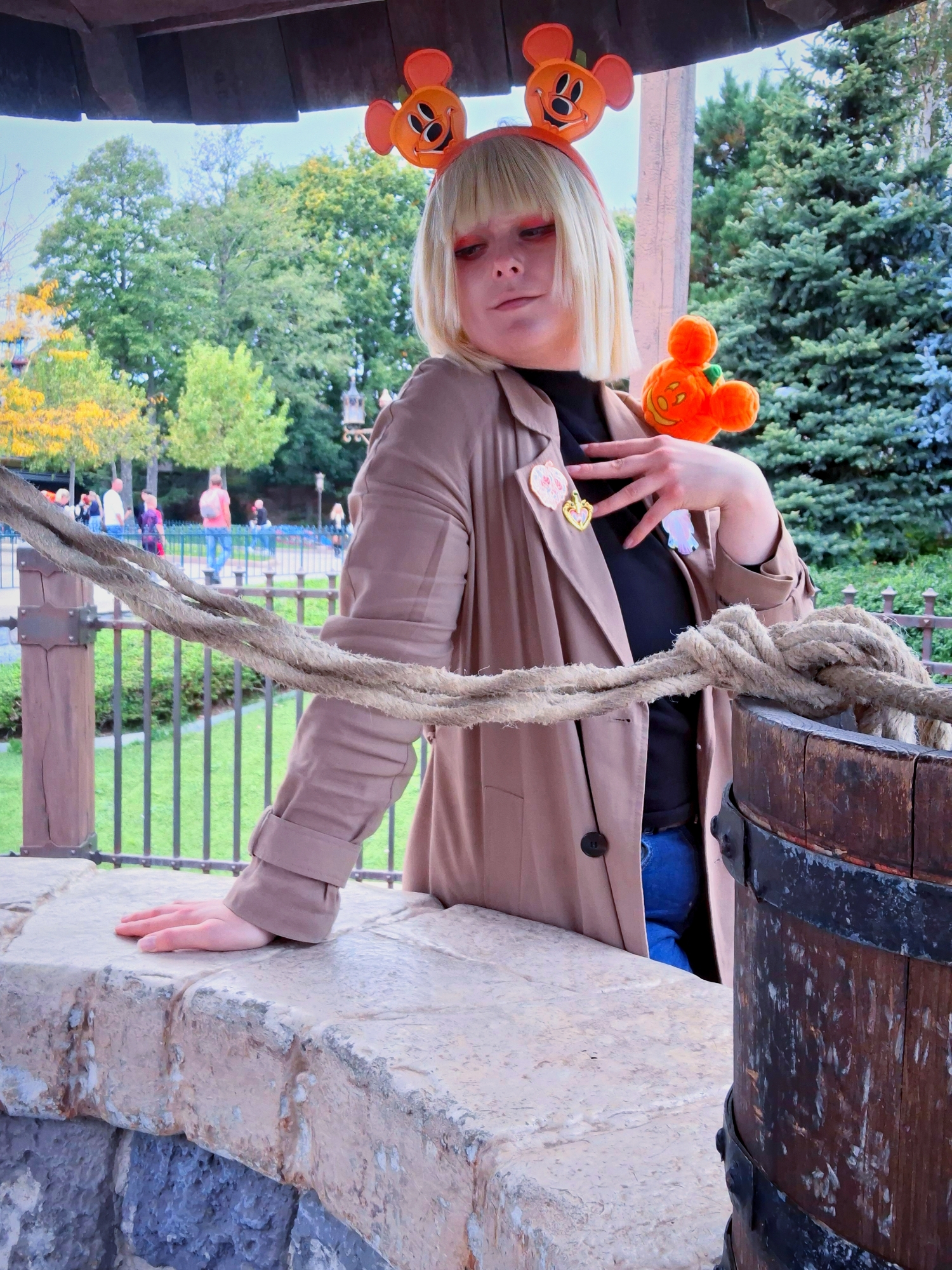 Rook at disneyland, photo 6