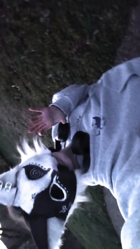 Ezekiel_verse – Therian