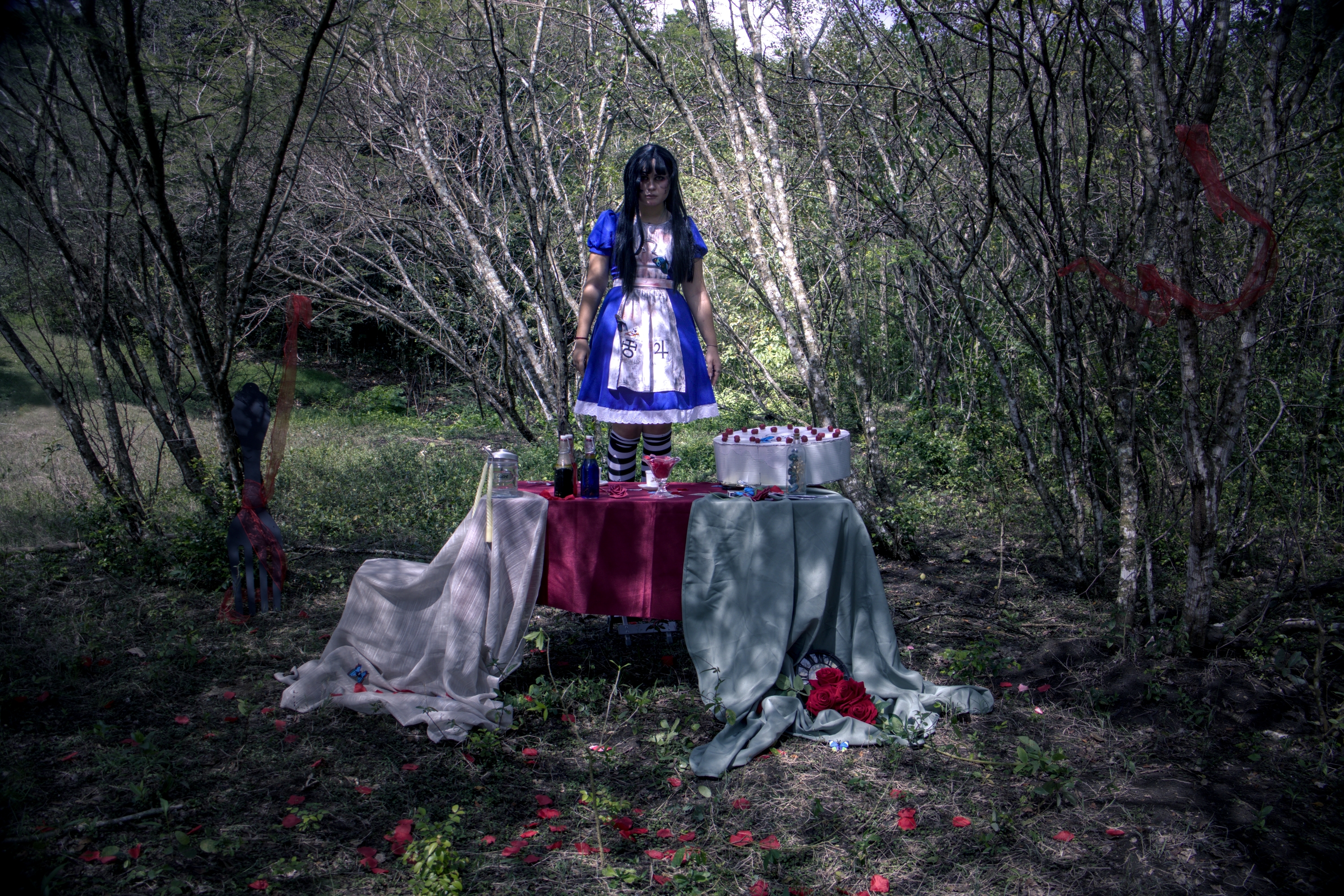 Alice Lidle — photo 18