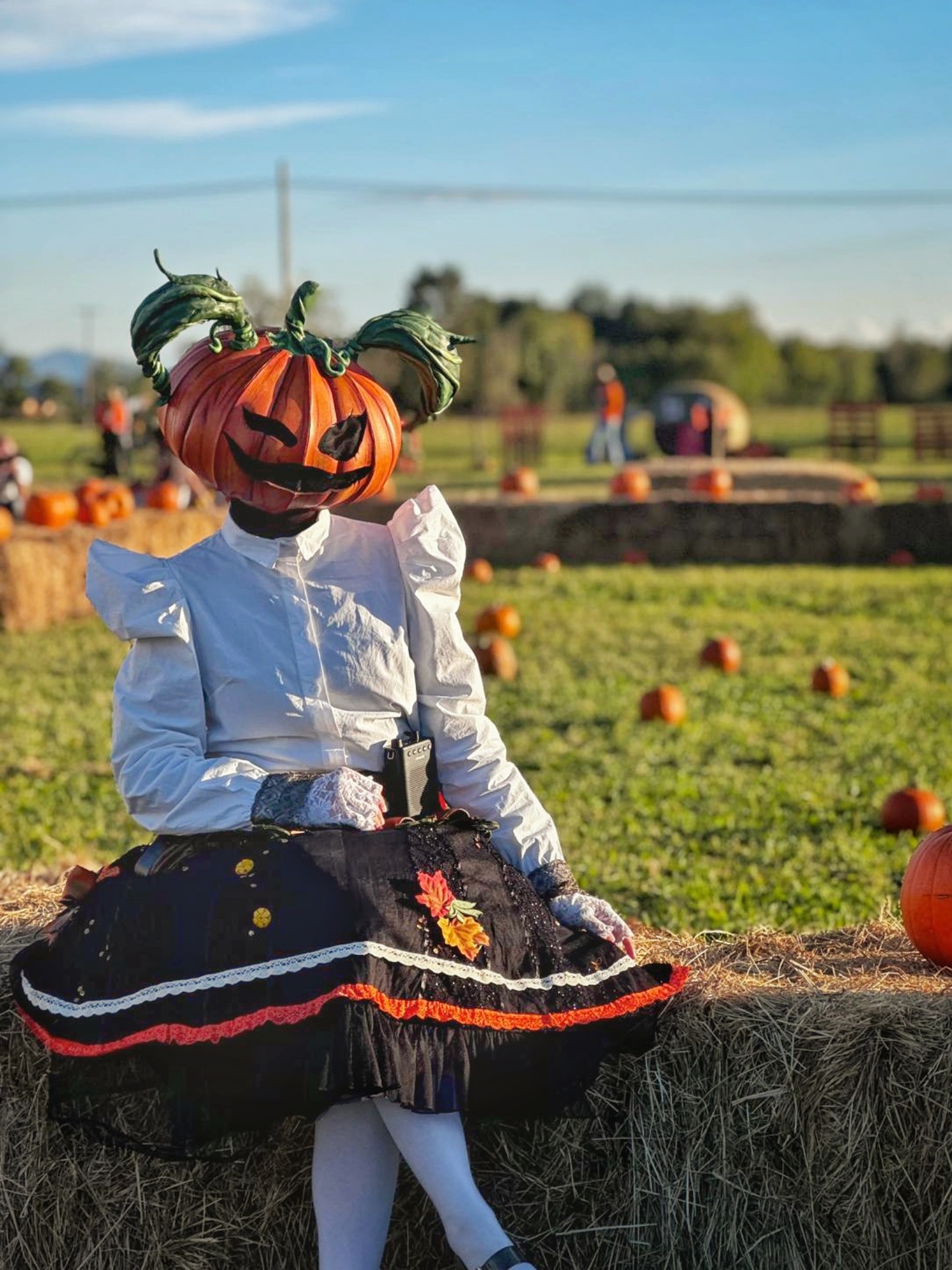 Lady Pumpkin  - Photo 7