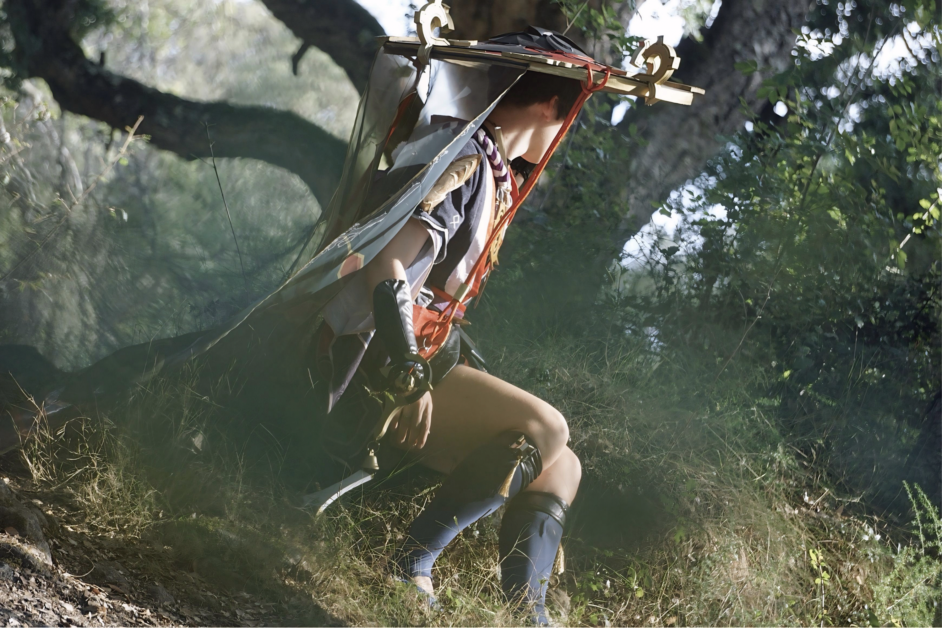 Scaramouche  - Photo 5