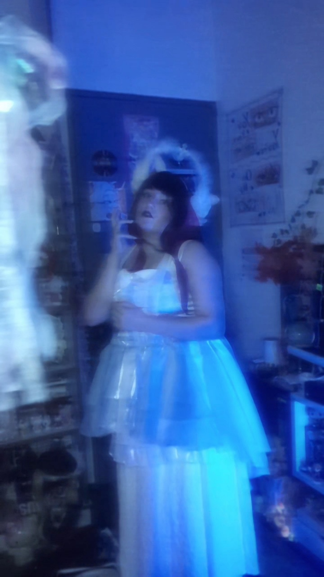 Columbina  - Photo 12