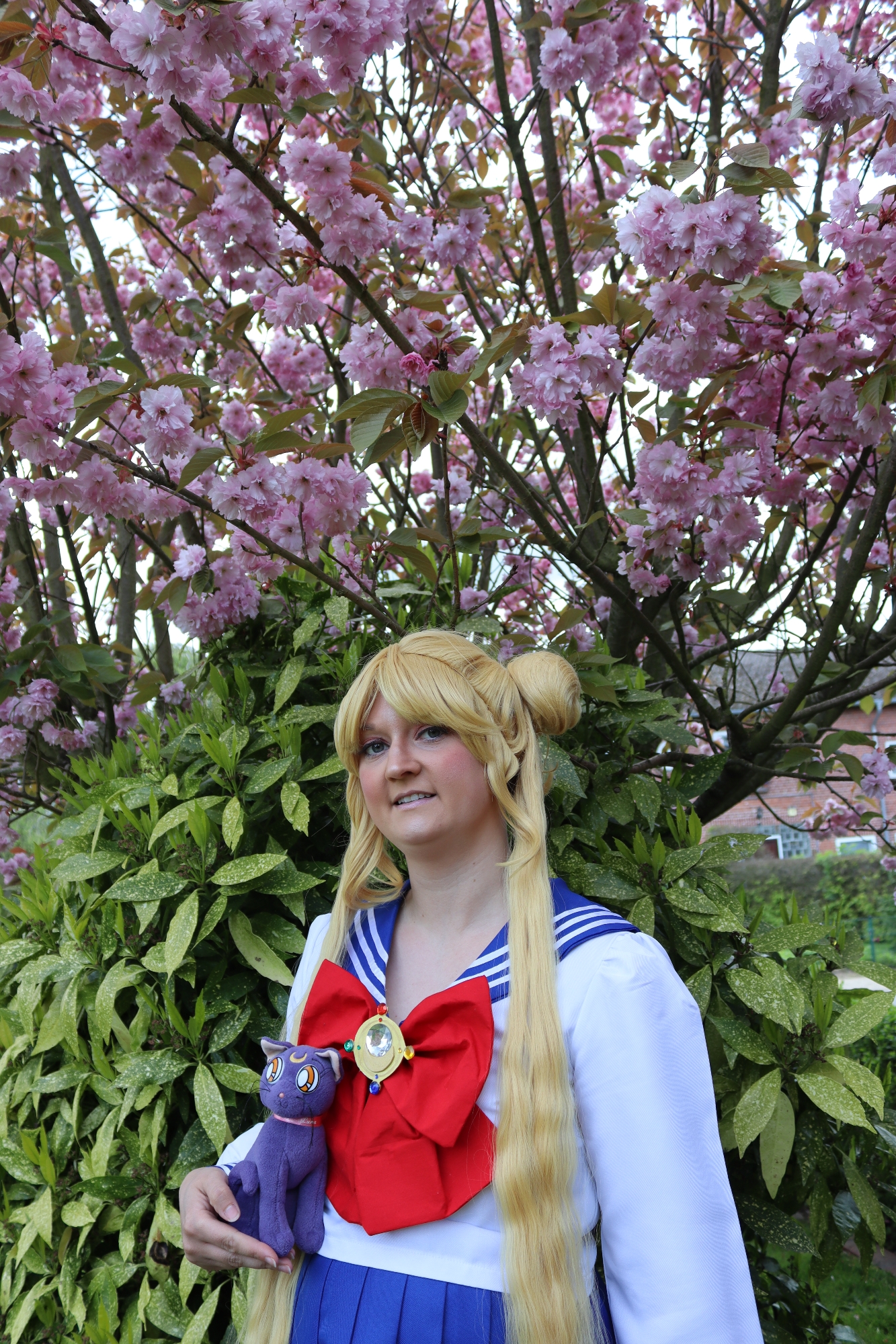 Usagi Tsukino — photo 24