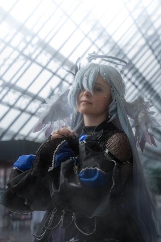 Robin japex 2025