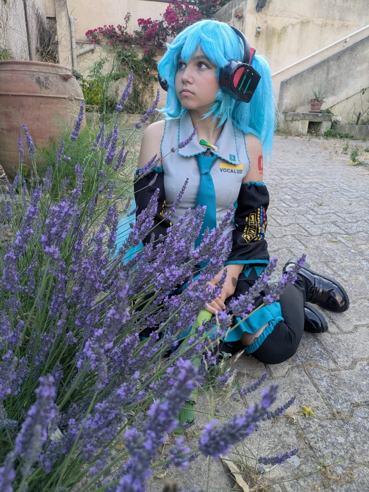 Hatsune Miku 6/25 — photo 5