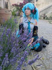 Hatsune Miku 6/25 preview 3