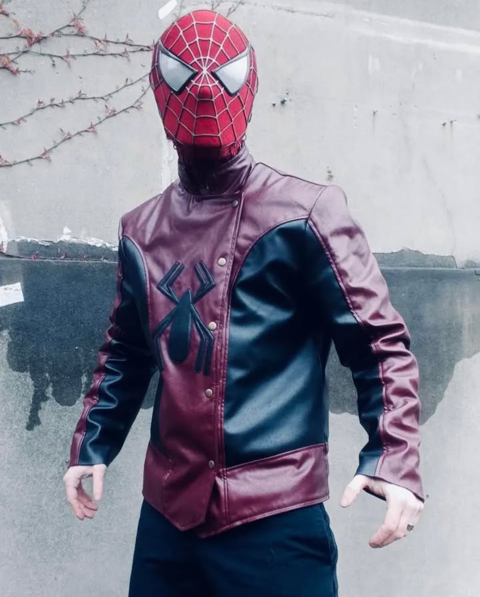 Spiderman Last Stand - Photo 4