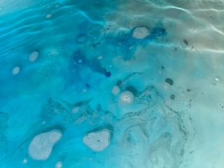 Tub of Mouthwash preview 2